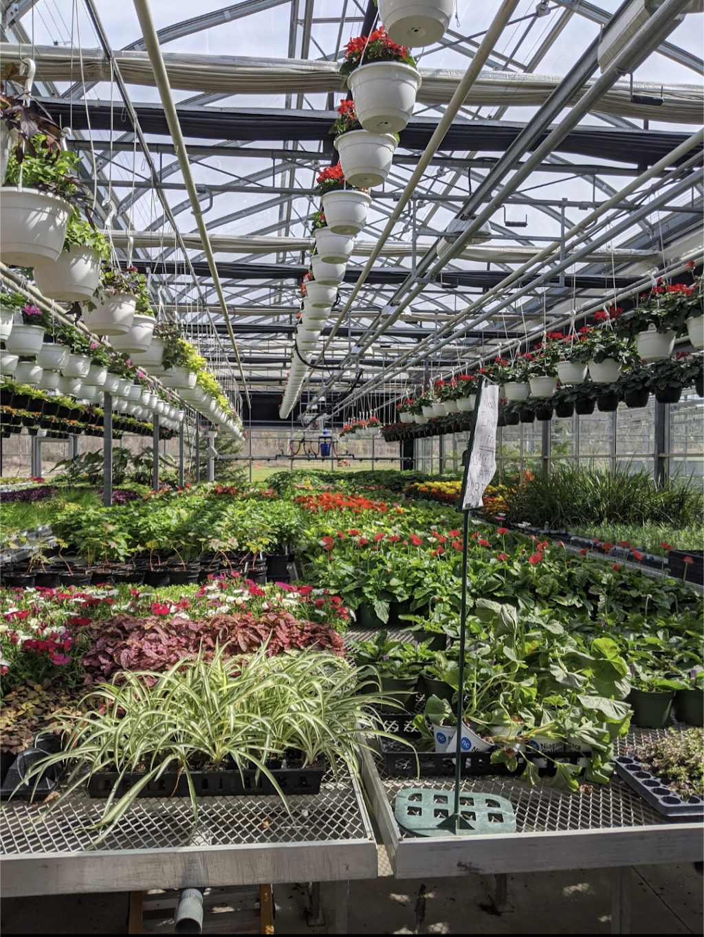 Niagara College Greenhouse Nursery | 135 Taylor Rd, Niagara Falls, ON L2H 0H5, Canada | Phone: (905) 641-2252 ext. 4082