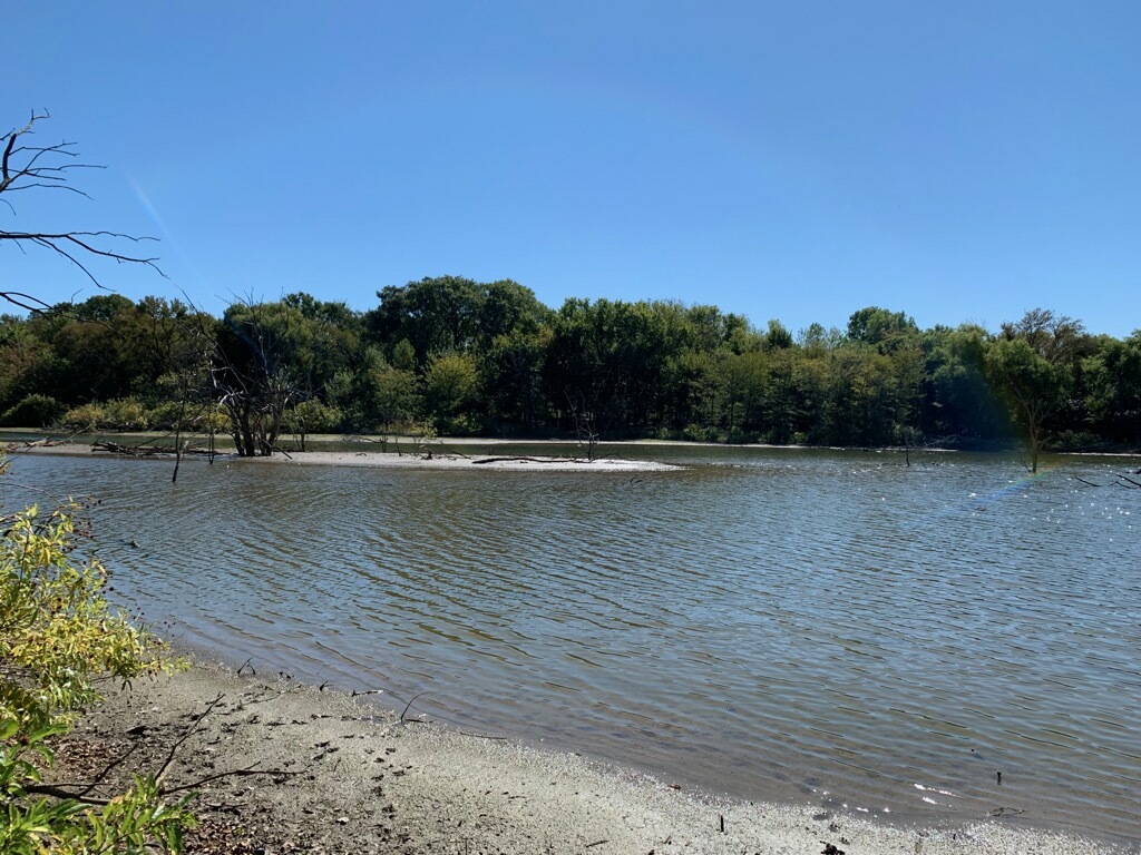 Dr. Jill E. Wolf, MD | 730 E Eldorado Pkwy, Little Elm, TX 75068, USA | Phone: (972) 292-3330