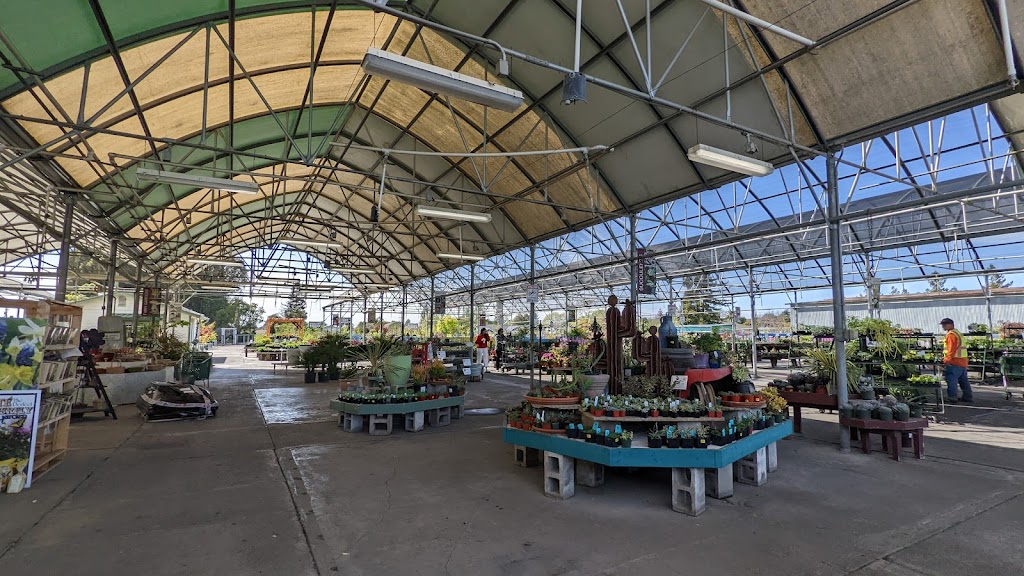 Mid City Nursery | 3635 Broadway, American Canyon, CA 94503, USA | Phone: (707) 642-4167