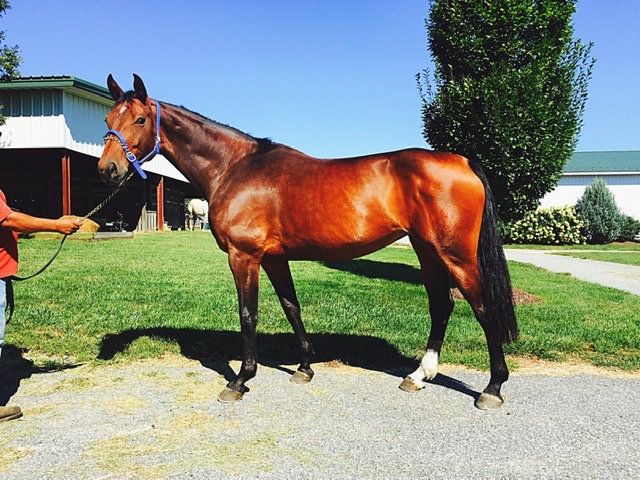 Homeward Farms | 5807 Pepperport Ln, Lewisville, TX 75022, USA | Phone: (817) 875-3520