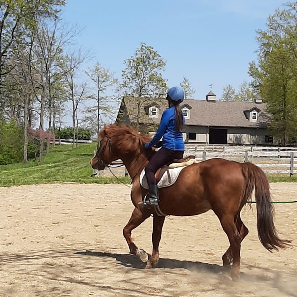 Darby Creek Horse Farm LLC | 2375 Darby Creek Dr, Galloway, OH 43119, USA | Phone: (614) 425-5642