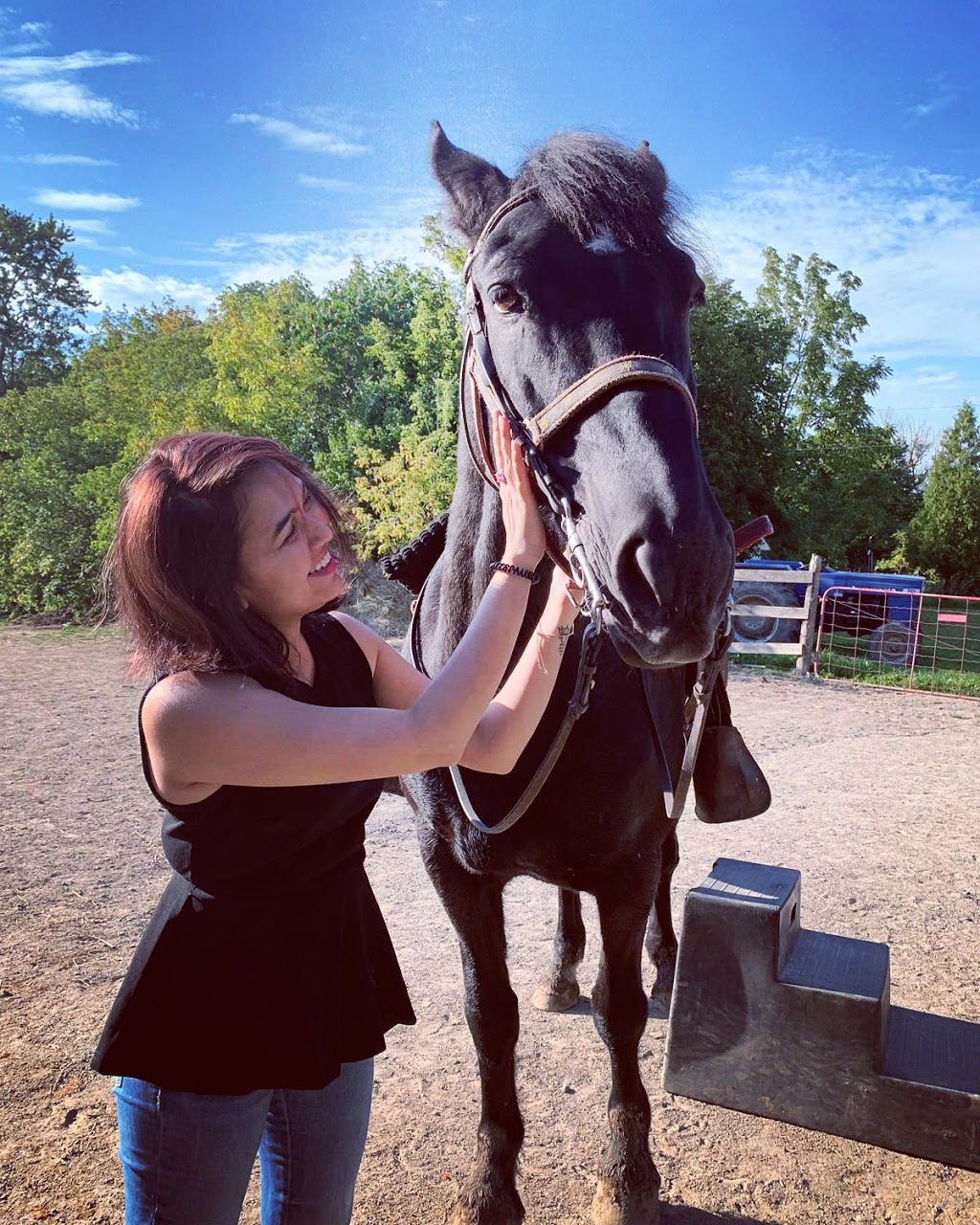 Niagara Riding Stables | 471 Warner Rd, Niagara-on-the-Lake, ON L0S 1J0, Canada | Phone: (905) 262-5101