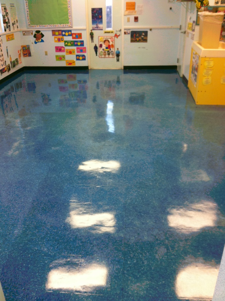 Bay Janitorial Service | 2595 Tampa Rd Suite Q, Palm Harbor, FL 34684, USA | Phone: (727) 431-0286