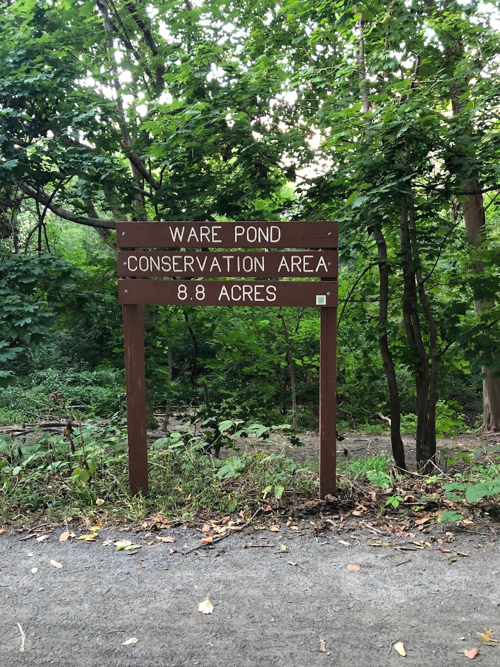 Ware Pond Conservation Area | 43 Marion Rd, Marblehead, MA 01945, USA | Phone: (781) 631-0000