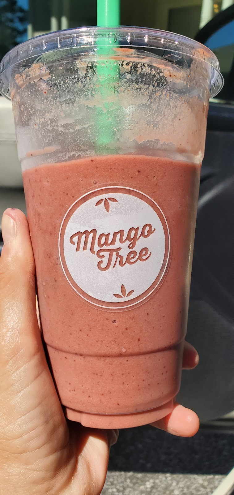 Mango Tree Raw Juice & Smoothies | D-200, 3900 Legacy Park Blvd, Kennesaw, GA 30144, USA | Phone: (678) 903-4419