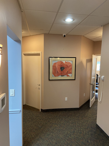 Dental Arts New Port Richey | 4754 Rowan Rd, New Port Richey, FL 34653, USA | Phone: (727) 339-6072