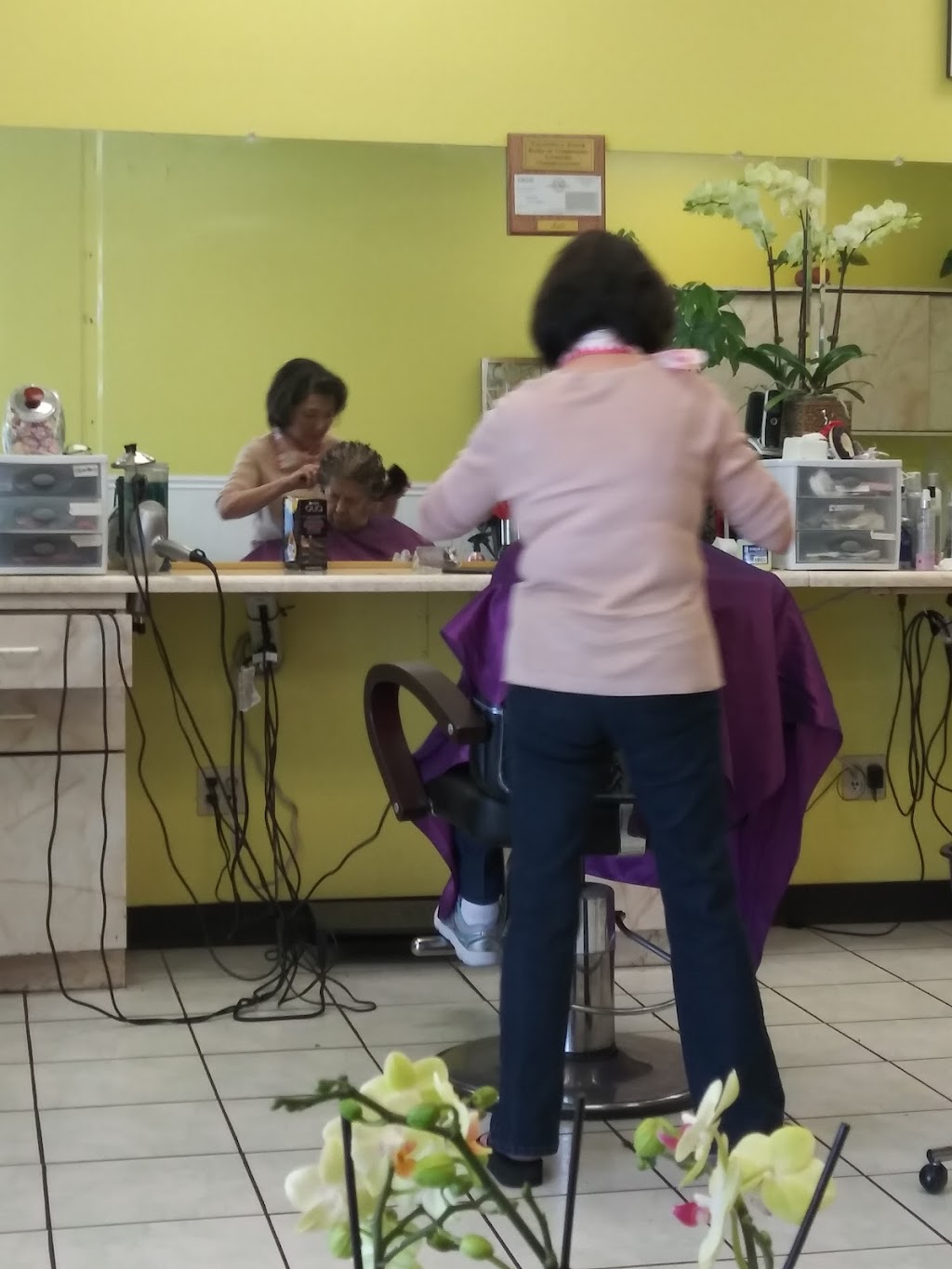 High Life Beauty Salon | 1611 Flickinger Ave, San Jose, CA 95131, USA | Phone: (408) 729-4921
