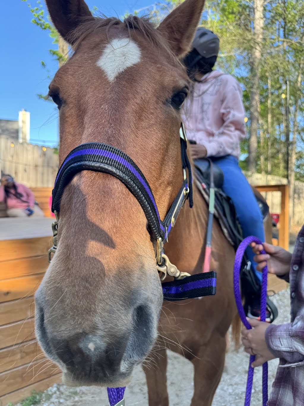 New London Farm | 3935 Lee Rd, Snellville, GA 30039, USA | Phone: (404) 849-9305