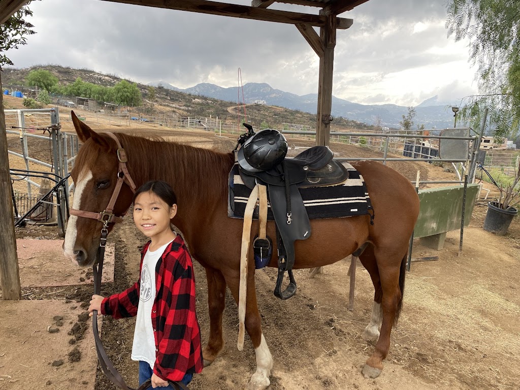 Fun horse trail rides/lesson | 18540 W Boundary Truck Trail, Jamul, CA 91935 | Phone: (619) 493-8949