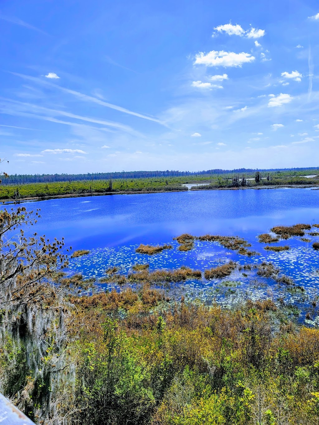 Okefenokee National Wildlife Refuge | 4155 Suwannee Canal Road, Folkston, GA 31537, USA | Phone: (912) 496-7836