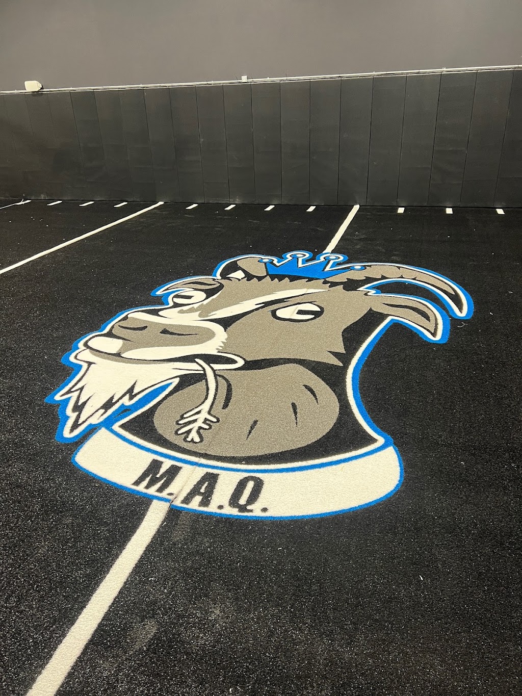 MAQ Training | 12359 Abbey Rd Bldg A, 12359 Abbey Rd Bldg B (FieldHouse, North Royalton, OH 44133, USA | Phone: (216) 246-0424