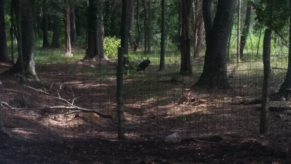 Powder Springs Storage | 3765 Powder Springs Rd, Powder Springs, GA 30127, USA | Phone: (770) 439-1439