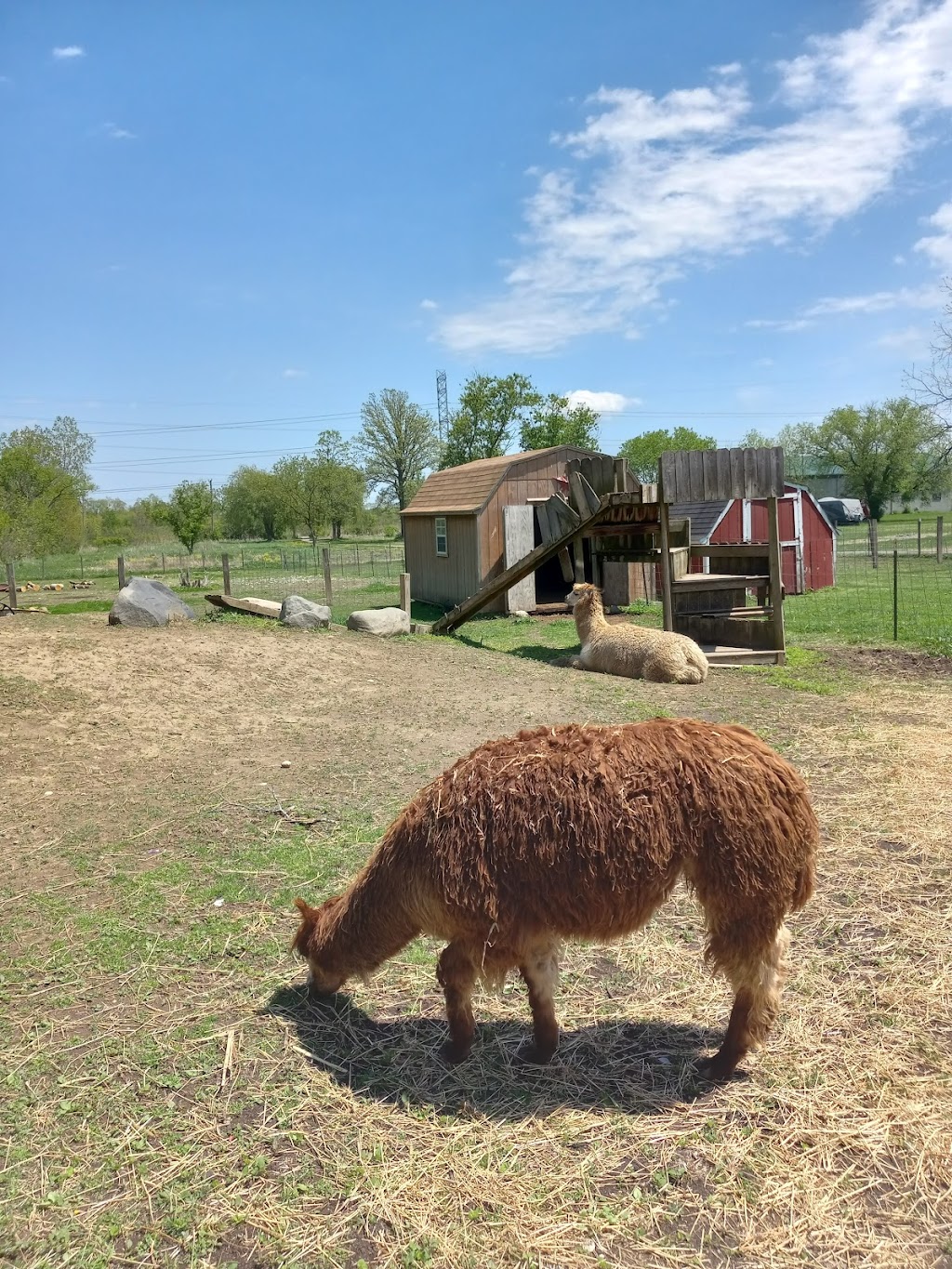 Frontier Town Ice Cream Parlor | 67310 Van Dyke Rd, Washington, MI 48095, USA | Phone: (586) 894-8402