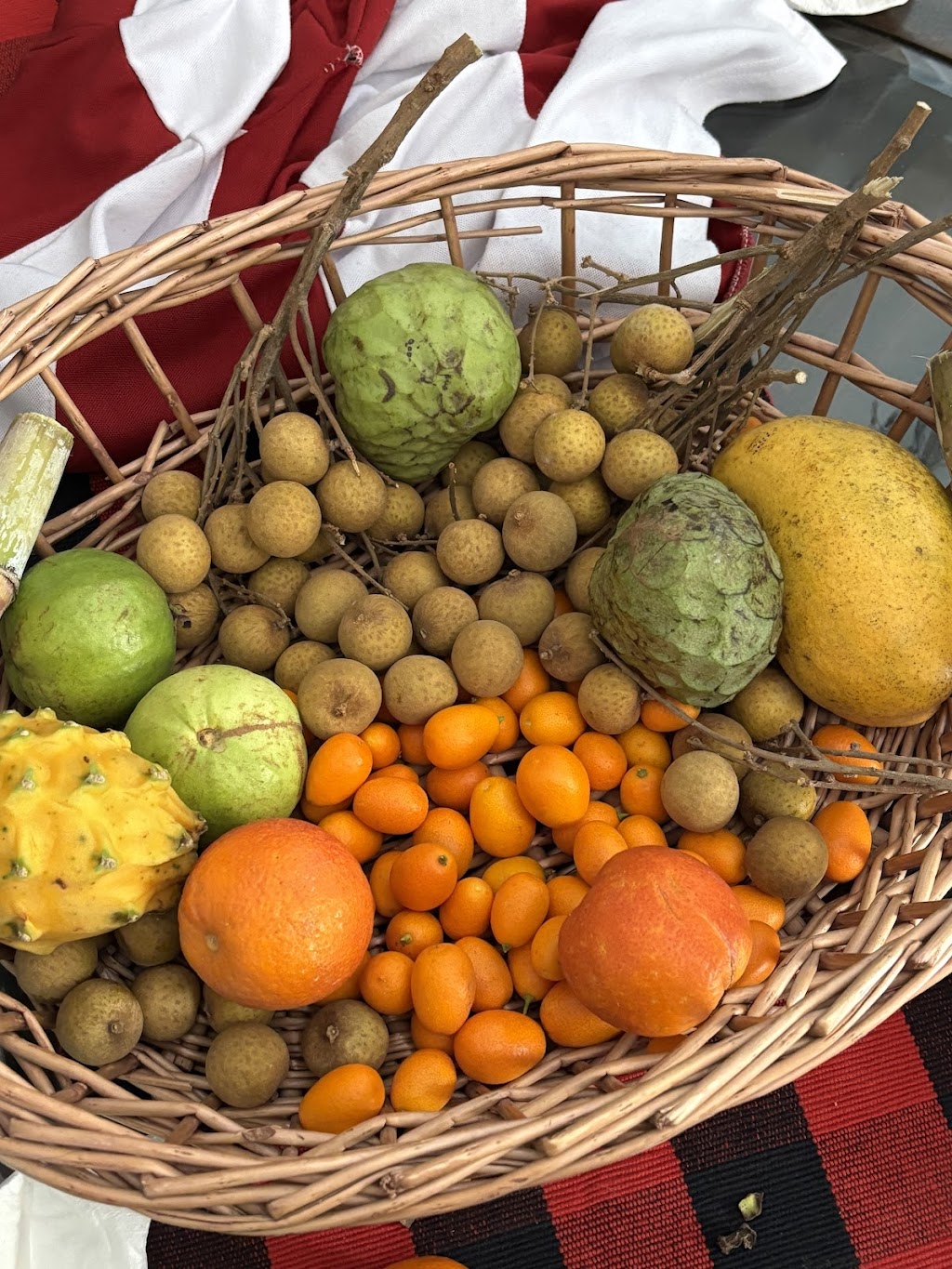 Good Hill Farms | 10098 Gomez Creek Rd, Fallbrook, CA 92028, USA | Phone: (760) 205-3291