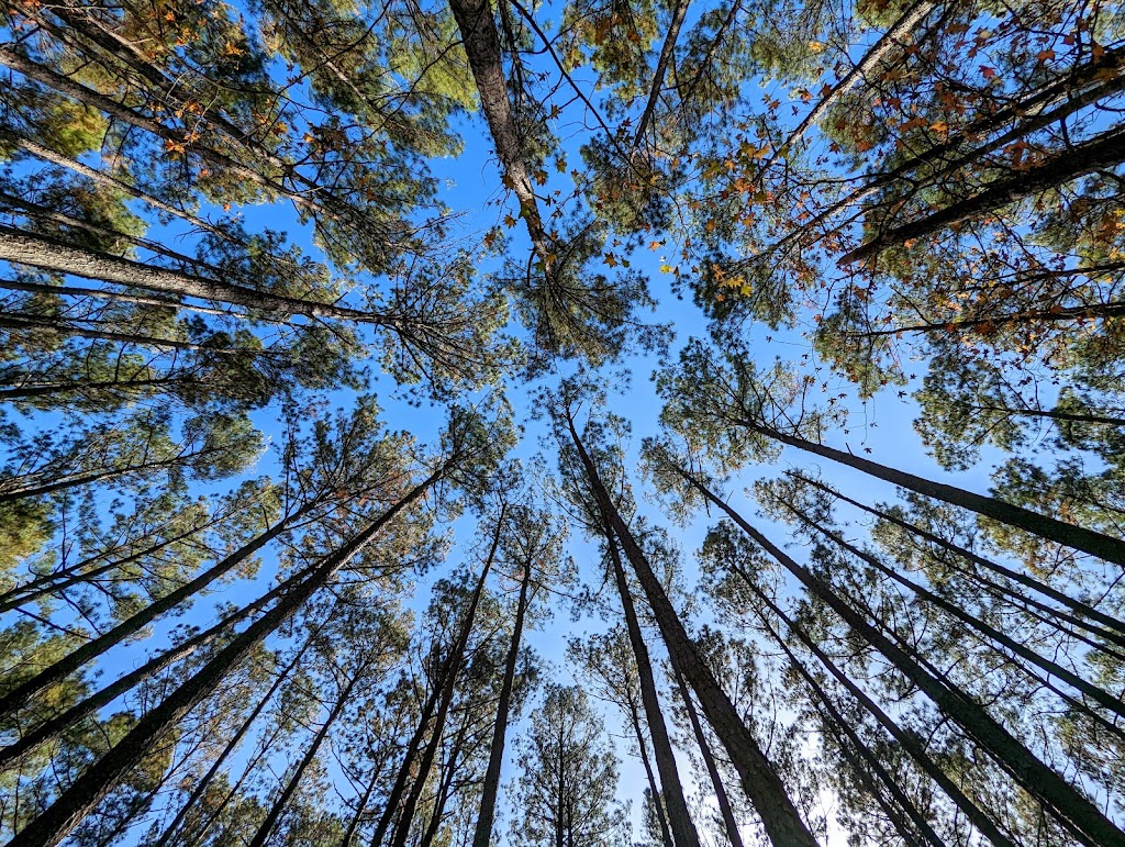 Jordan Lake State Recreation Area | 280 State Park Rd, Apex, NC 27523, USA | Phone: (919) 362-0586