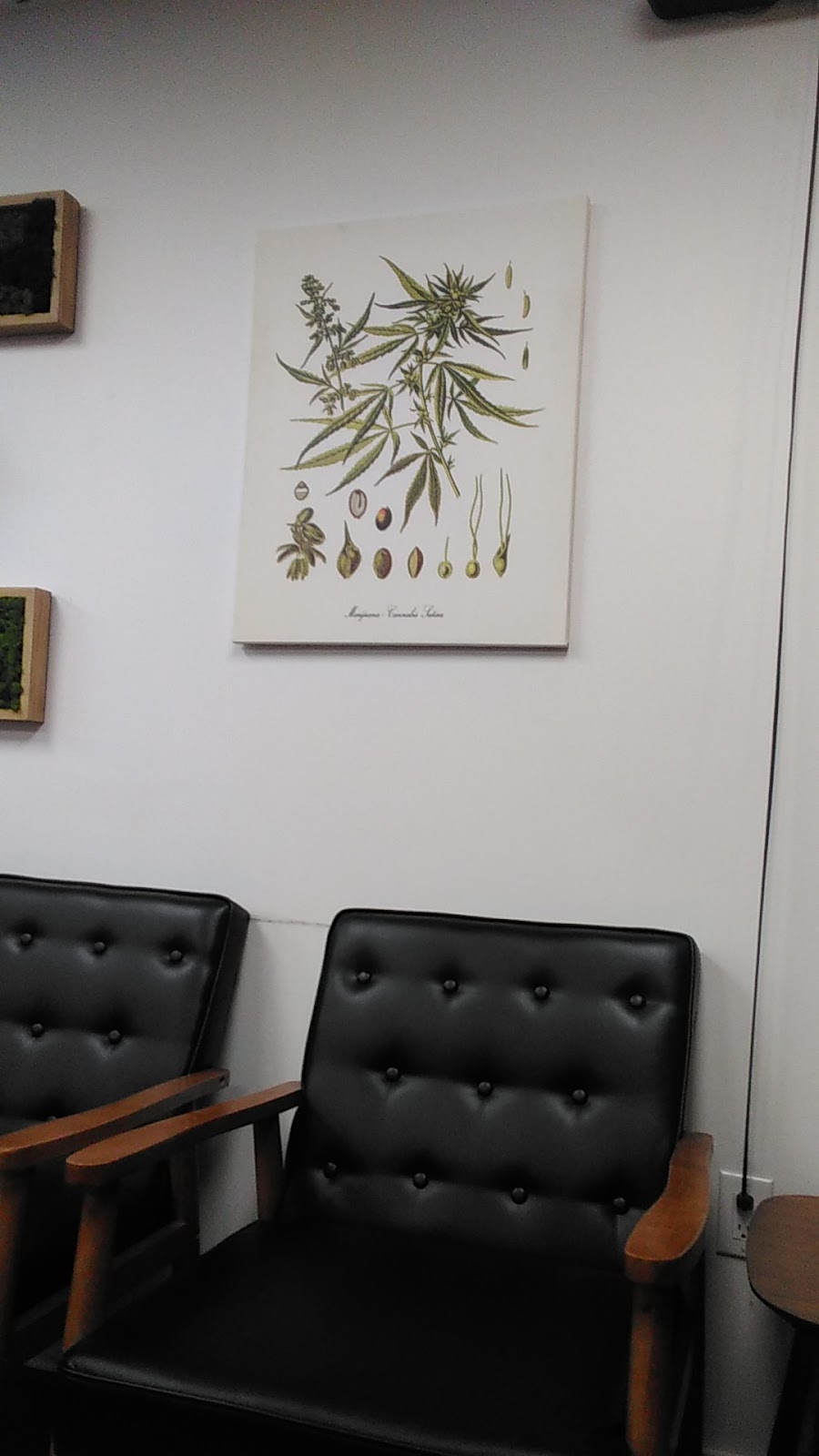 Blue Sky Cannabis Co. - NOW OPEN | 510 Savage Rd, Belleville, MI 48111, USA | Phone: (734) 252-6371