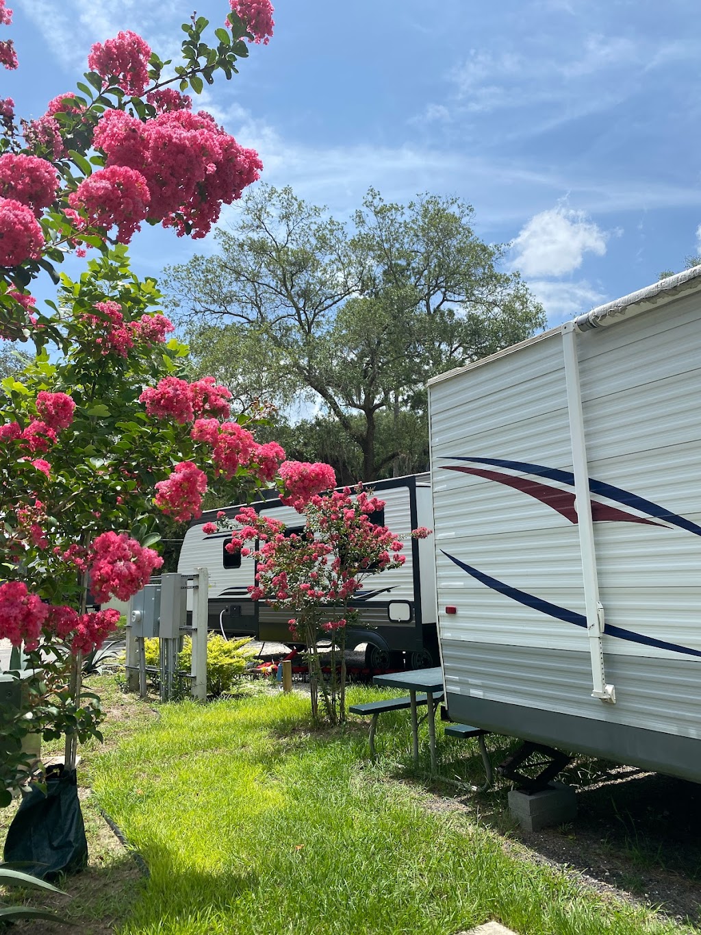 Sunny Oaks RV Park | 8654 New Kings Rd, Jacksonville, FL 32219, USA | Phone: (904) 619-6118