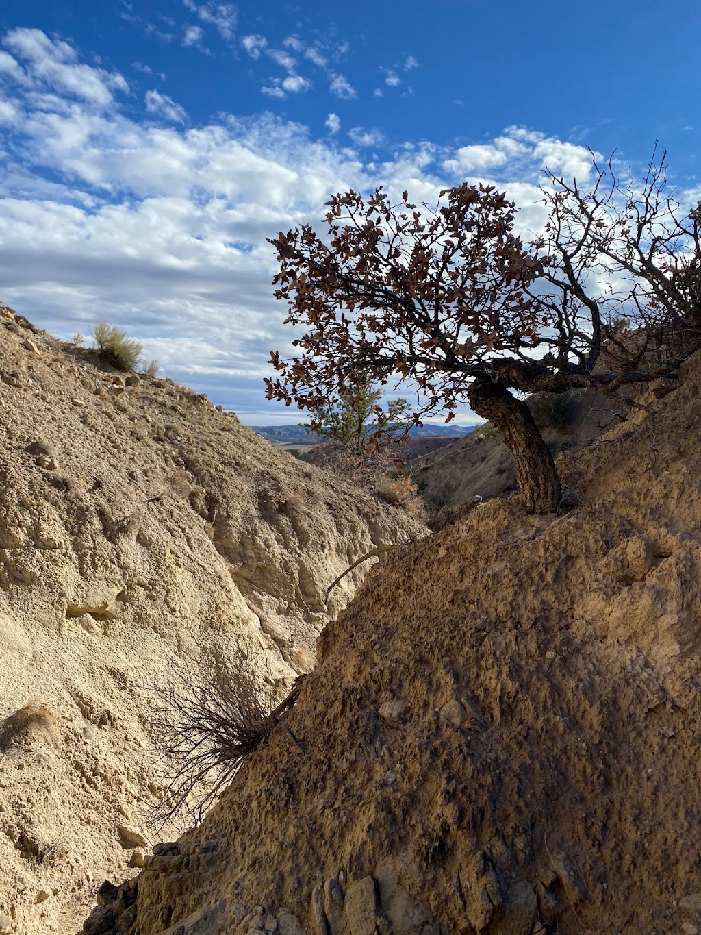 Ojito Wilderness - Arroyo Bernalillo | New Mexico, USA | Phone: (505) 761-8700