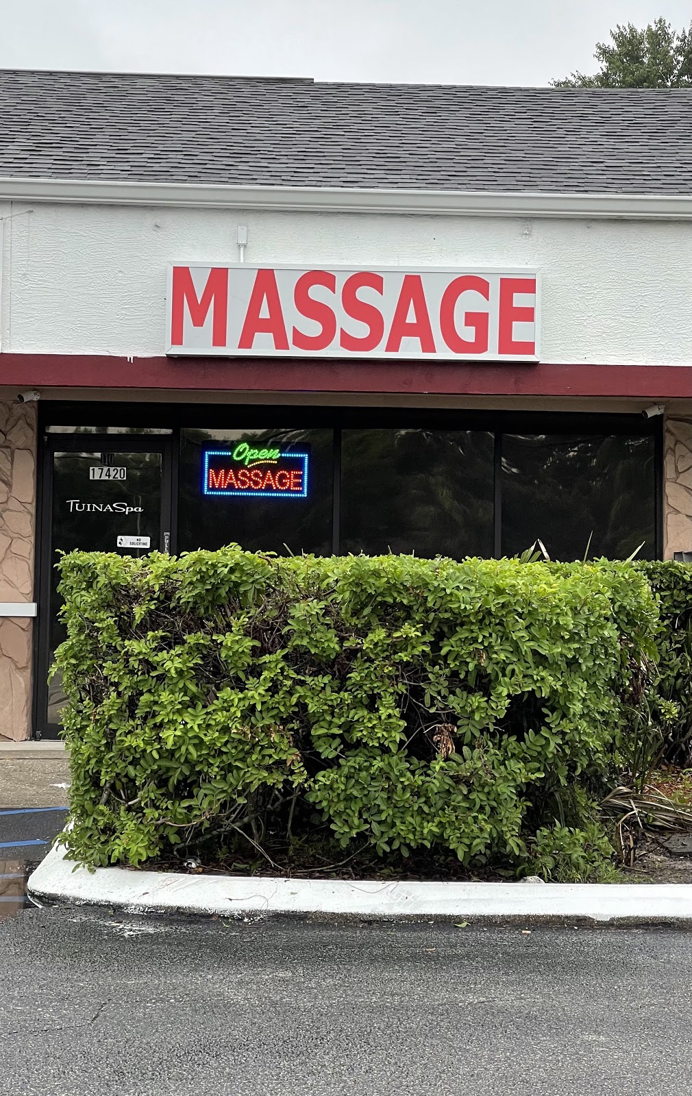 Lilac Massage - MM42274 | 17420 US Hwy 41 Suite 110, Lutz, FL 33549, USA | Phone: (813) 486-5945