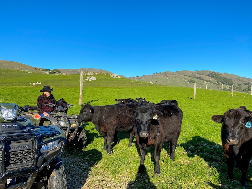 Cow Track Ranch | Nicasio Valley Rd, Nicasio, CA 94946, USA | Phone: (707) 360-7789