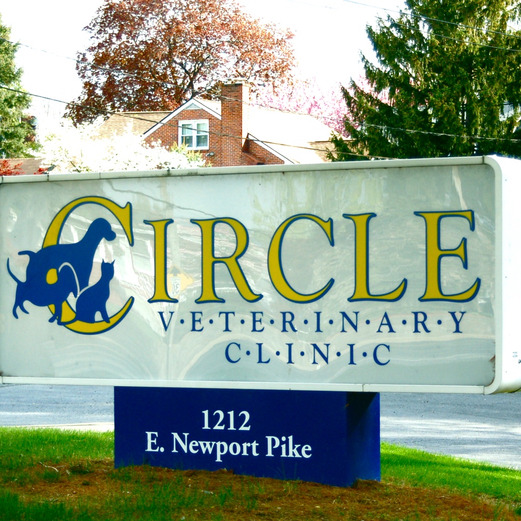 Circle Veterinary Clinic: David Wilkins, V.M.D. | 1212 E Newport Pike, Wilmington, DE 19804, United States | Phone: (302) 652-6587