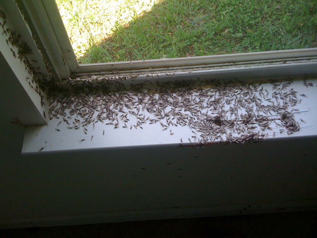 TFALLS PEST CONTROL, LLC | 224 Sable Trace Dr, Acworth, GA 30102, USA | Phone: (678) 770-6087