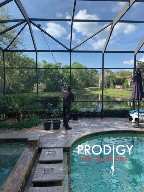 Prodigy Pest Solutions | 1661 W University Pkwy Unit A, Sarasota, FL 34243, USA | Phone: (941) 225-4010