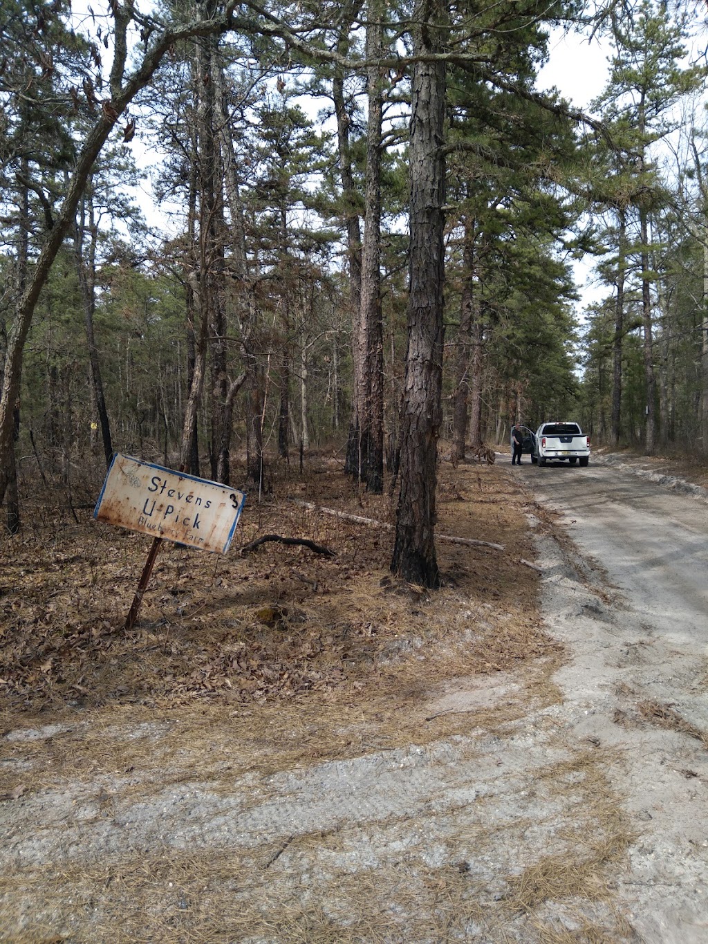 New Jersey Pinelands National Reserve | 853 Atsion Rd, Shamong, NJ 08088, USA | Phone: (609) 894-7300