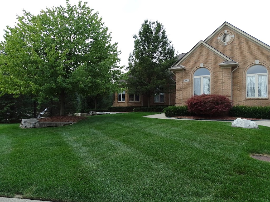 Dynamic Lawn and Landscape | 6450 Sims Dr, Sterling Heights, MI 48313, USA | Phone: (586) 731-1108