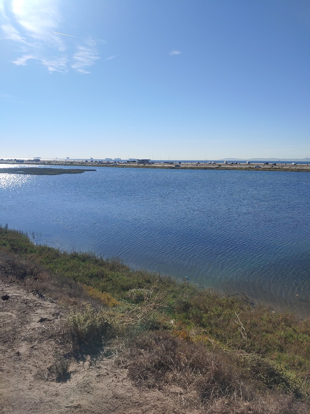 Bolsa Chica Land Trust Growing Space Nursery | CA-1, Huntington Beach, CA 92649, USA | Phone: (714) 846-1001