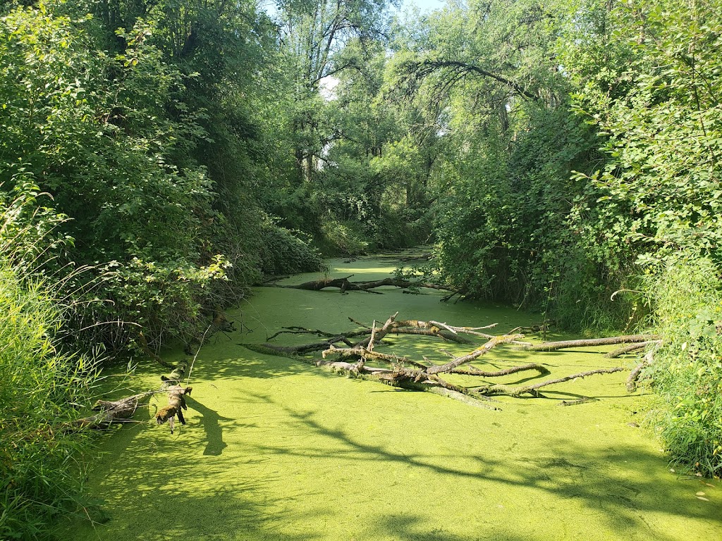 Ridgefield National Wildlife Refuge | 28908 NW Main Ave- Carty Unit & 1071 S Hillhurst Rd.- River S Unit, Ridgefield, WA 98642 | Phone: (360) 887-4106