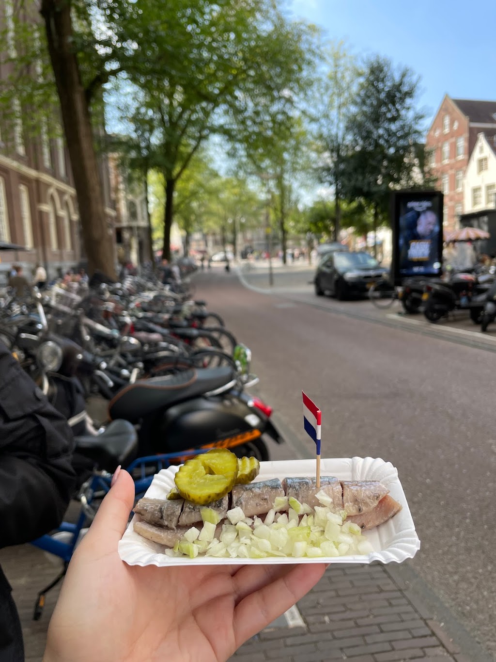 Herring Stall Jonk | Spui 7a, 1012 WX Amsterdam, Netherlands | Phone: 06 33933103