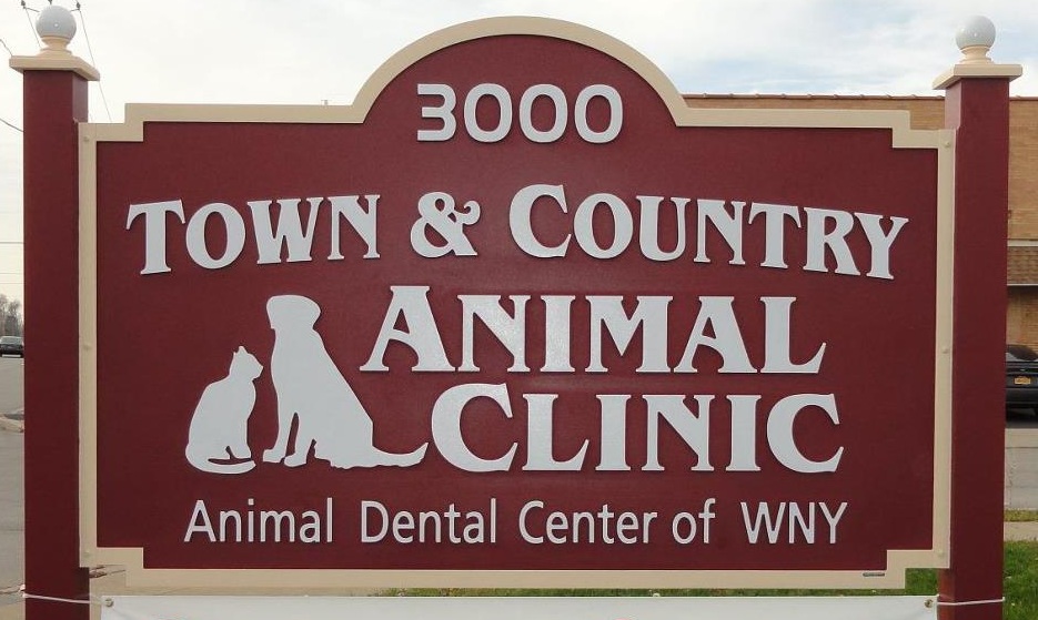 Town & Country Animal Clinic | 3000 Genesee St, Buffalo, NY 14225, USA | Phone: (716) 896-2424