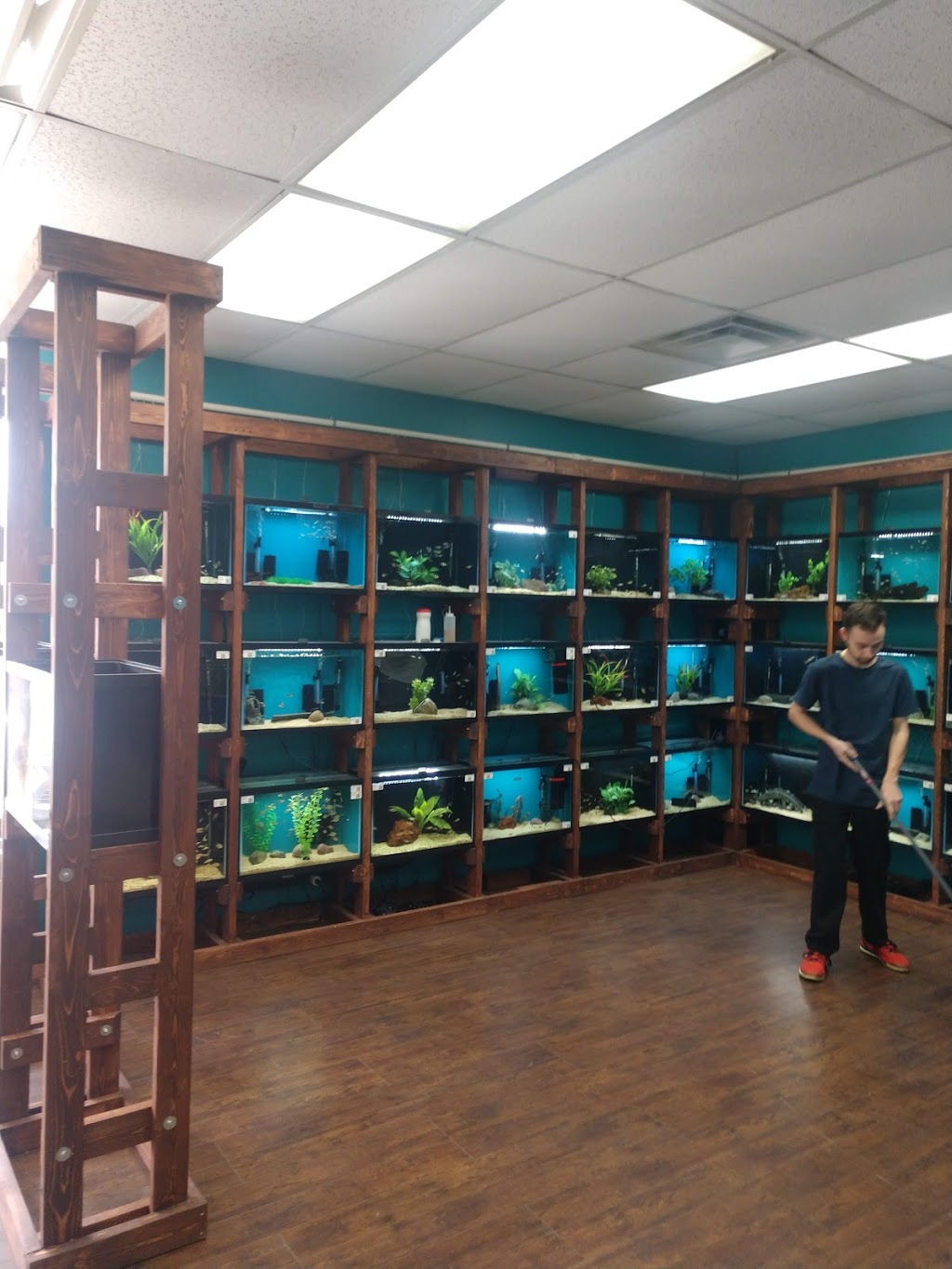 Clean Aquariums | 544 Rambow Dr, Monroe, MI 48161, USA | Phone: (734) 249-8065