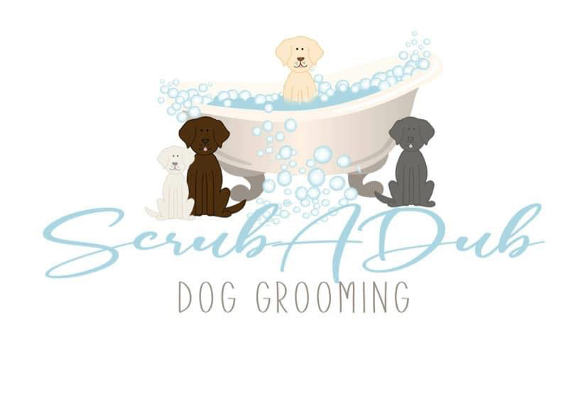 ScrubADub Dog Grooming | 1229 Central Ave, Colonie, NY 12205, USA | Phone: (518) 698-5117