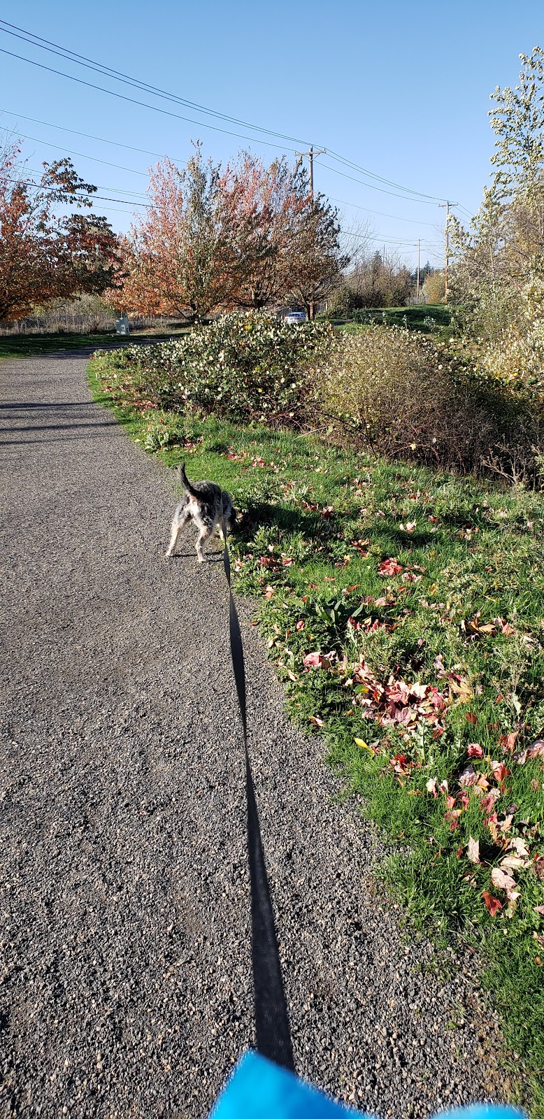 Salish Ponds Wetland Park | 20619 NE Glisan St, Fairview, OR 97024, USA | Phone: (503) 674-6206