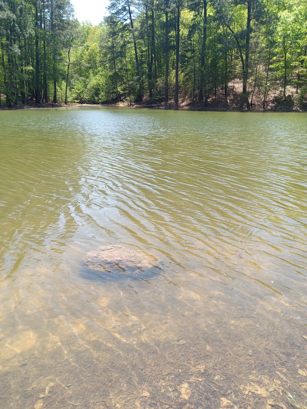 Red Top Mountain State Park Pioneer Campground | 101 Webster Ferry Landing, Cartersville, GA 30121, USA | Phone: (770) 975-0055