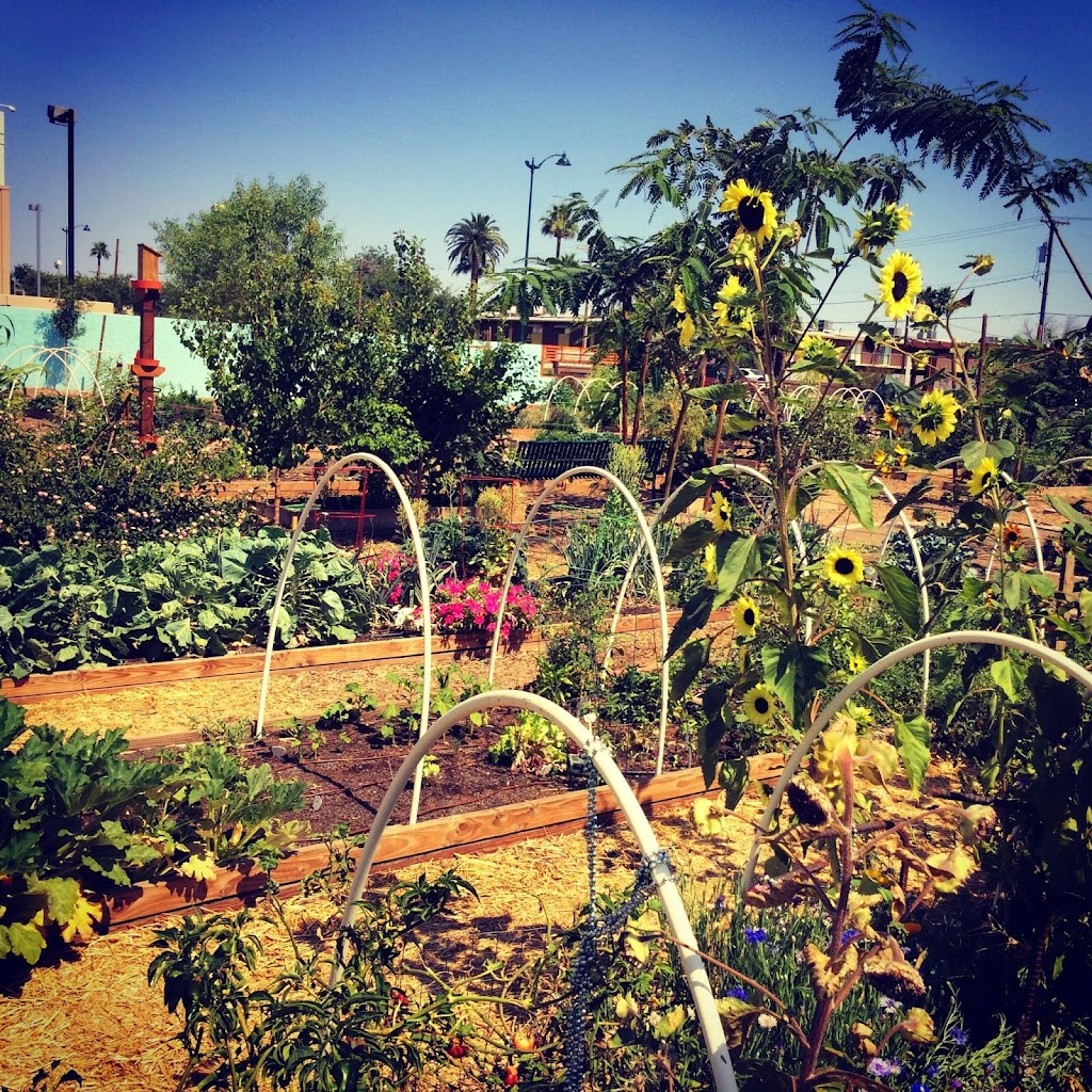 Mesa Urban Garden | 212 E 1st Ave, Mesa, AZ 85210, USA | Phone: (602) 370-4459