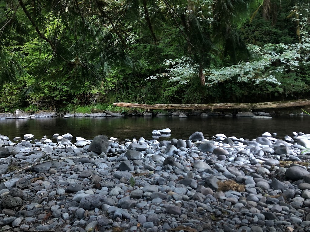 Eagle Fern Camp | 37700 SE Camp Rd, Estacada, OR 97023, USA | Phone: (503) 630-4978