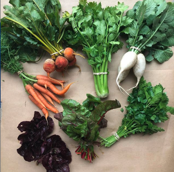 Middle Ground Farm | 186 Howard Ln, Bastrop, TX 78602, USA | Phone: (361) 317-2433