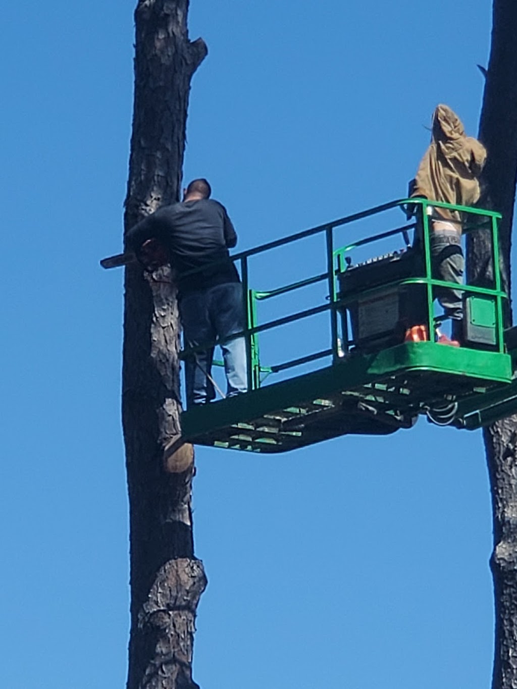 MTI tree services | 27092 Georgia St, Hilliard, FL 32046, USA | Phone: (904) 923-1048