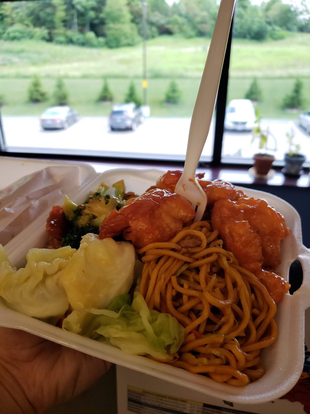 Panda Chinese Restaurant | 4174 Wheatley Rd, Richfield, OH 44286, USA | Phone: (330) 659-3375