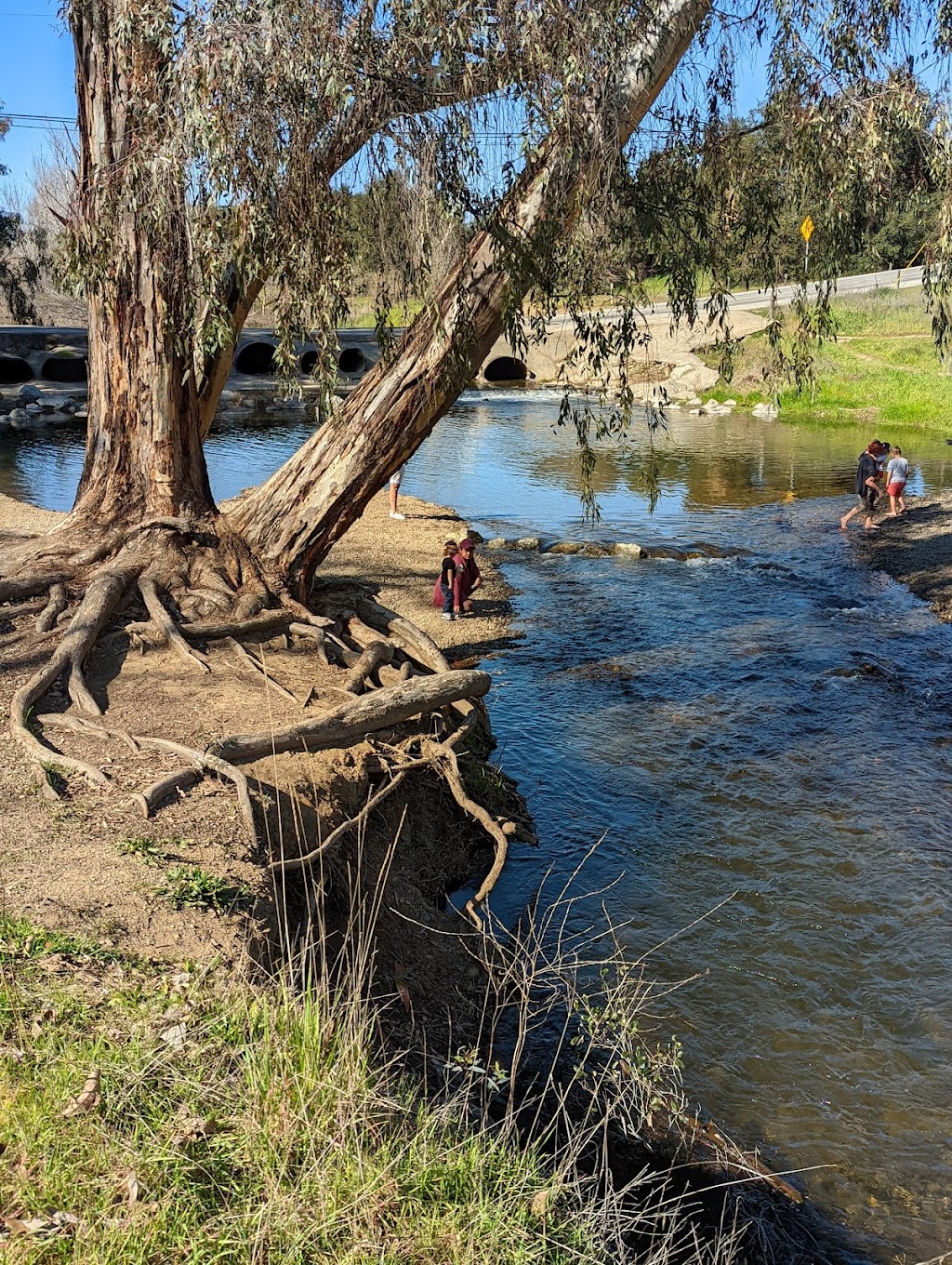 Christmas Hill Park | 7050 Miller Ave, Gilroy, CA 95020, USA | Phone: (408) 846-0460