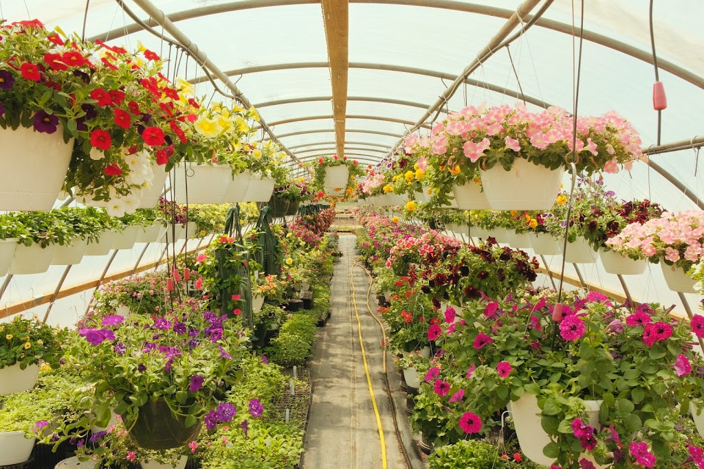 Fonsecas Farm and Greenhouses | 3980 Greens Bottom Rd, St Charles, MO 63304 | Phone: (314) 744-0072