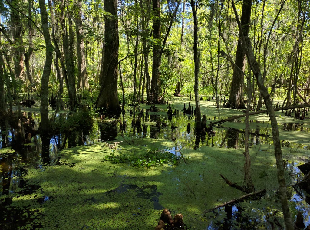 Jean Lafitte National Historical Park & Preserve | Marrero, LA 70072, USA | Phone: (504) 589-3882