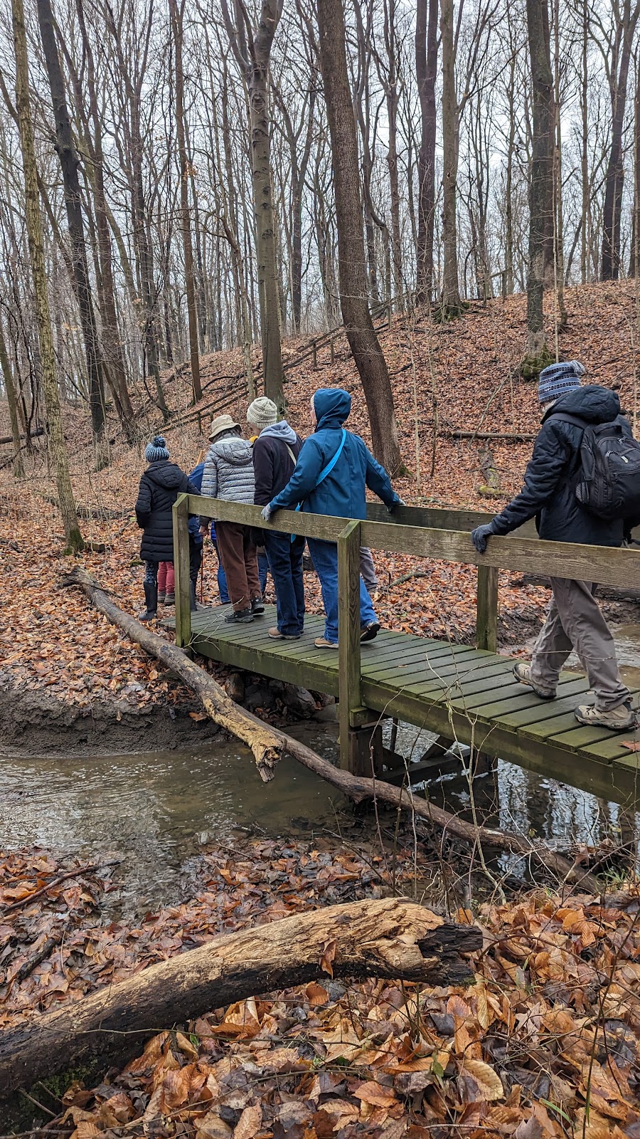 Robb Hidden Canyon - ACRES Land Trust | 425 Ln 201b Ball Lk, Hamilton, IN 46742, USA | Phone: (260) 637-2273