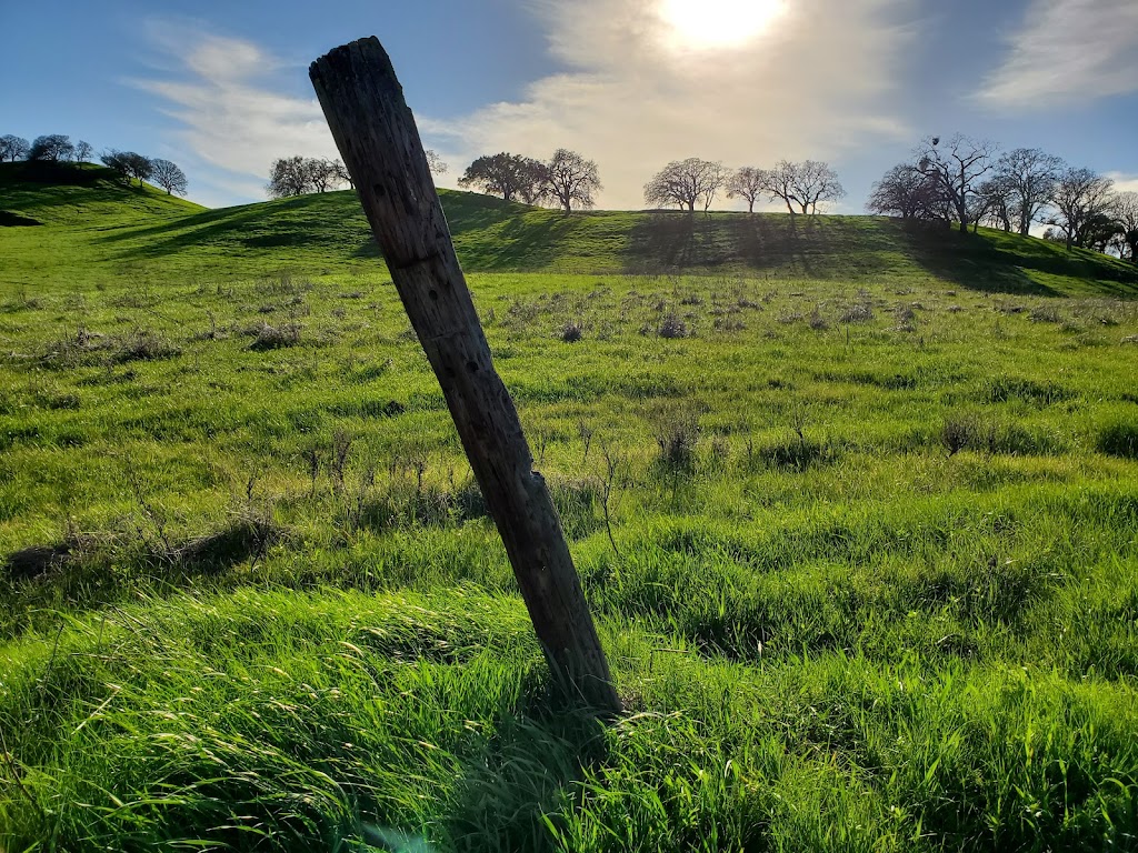 Hidden Valley Park | Redwood Dr & Center Avenue, Martinez, CA 94553, USA | Phone: (925) 372-3510