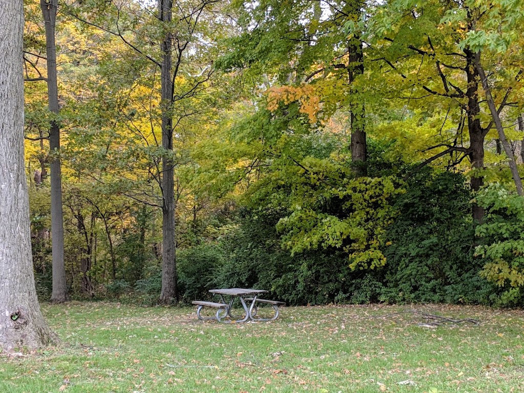 Helms Haven Recreation Area | 22777-22899 Edward N Hines Dr, Dearborn Heights, MI 48127, USA | Phone: (734) 261-1990