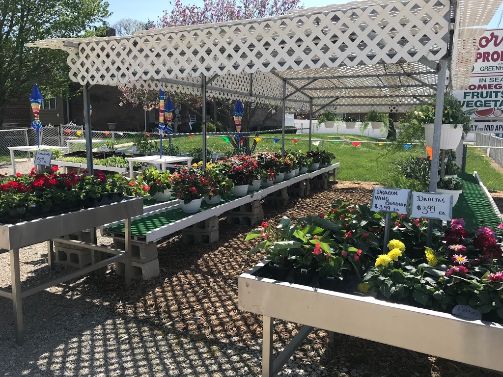 Normas Produce & Greenhouses | 3554 IL-157, Glen Carbon, IL 62034, USA | Phone: (618) 288-9056