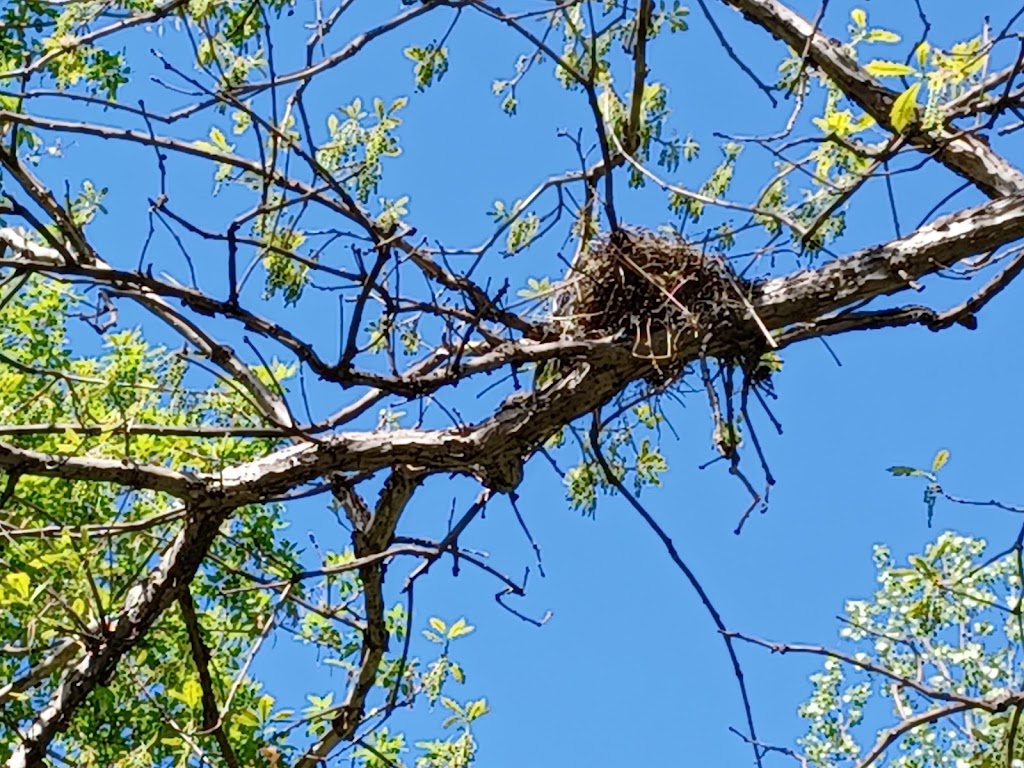 Kylawn Park | 6015 Kyle Ave N, Brooklyn Center, MN 55429, USA | Phone: (763) 569-3400